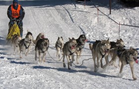 推荐一款”哈哈跑得快到底是不是有挂”其实确实有挂