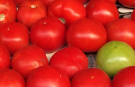 推荐一款”微乐捉鸡麻将外卦神器下载”原来确实有挂!