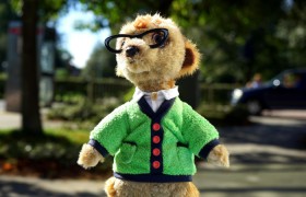 实测辅助“捞腌菜有猫腻吗”其实确实有挂