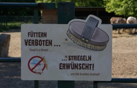 重磅来袭“江西微乐麻将有没有挂”详细开挂玩法