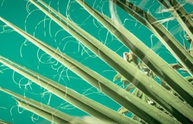 重磅来袭“麻将到底能不能开挂”其实确实有挂