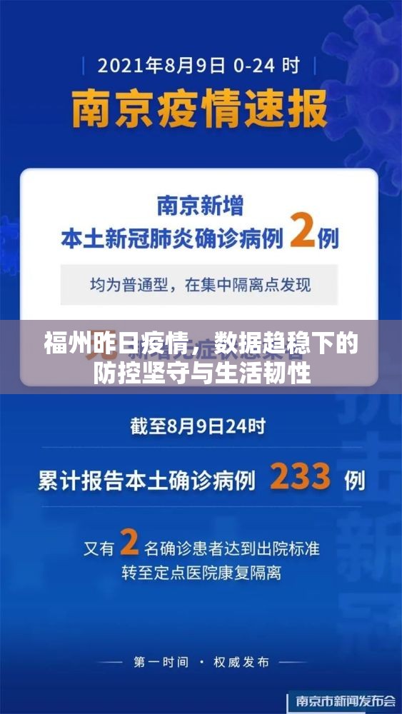 福州昨日疫情，数据趋稳下的防控坚守与生活韧性