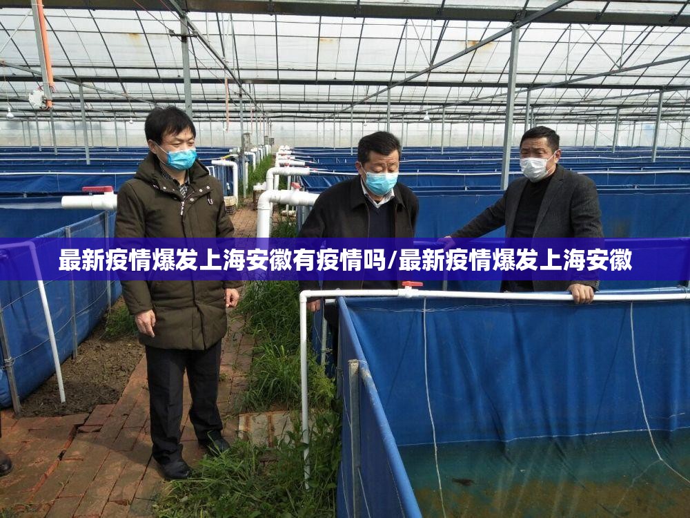 最新疫情爆发上海安徽有疫情吗/最新疫情爆发上海安徽