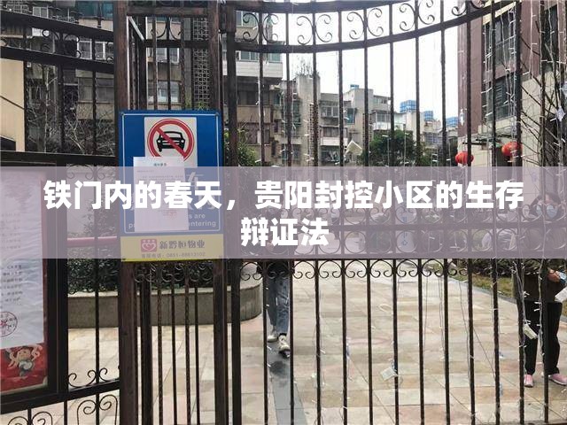 重庆台卫视节目表:重庆台卫视节目表今天