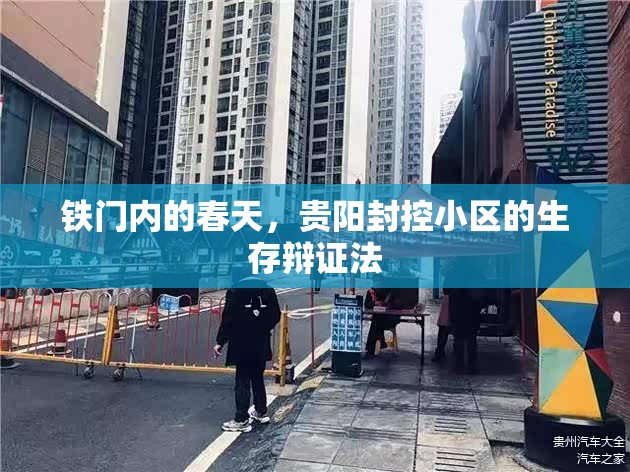 铁门内的春天，贵阳封控小区的生存辩证法