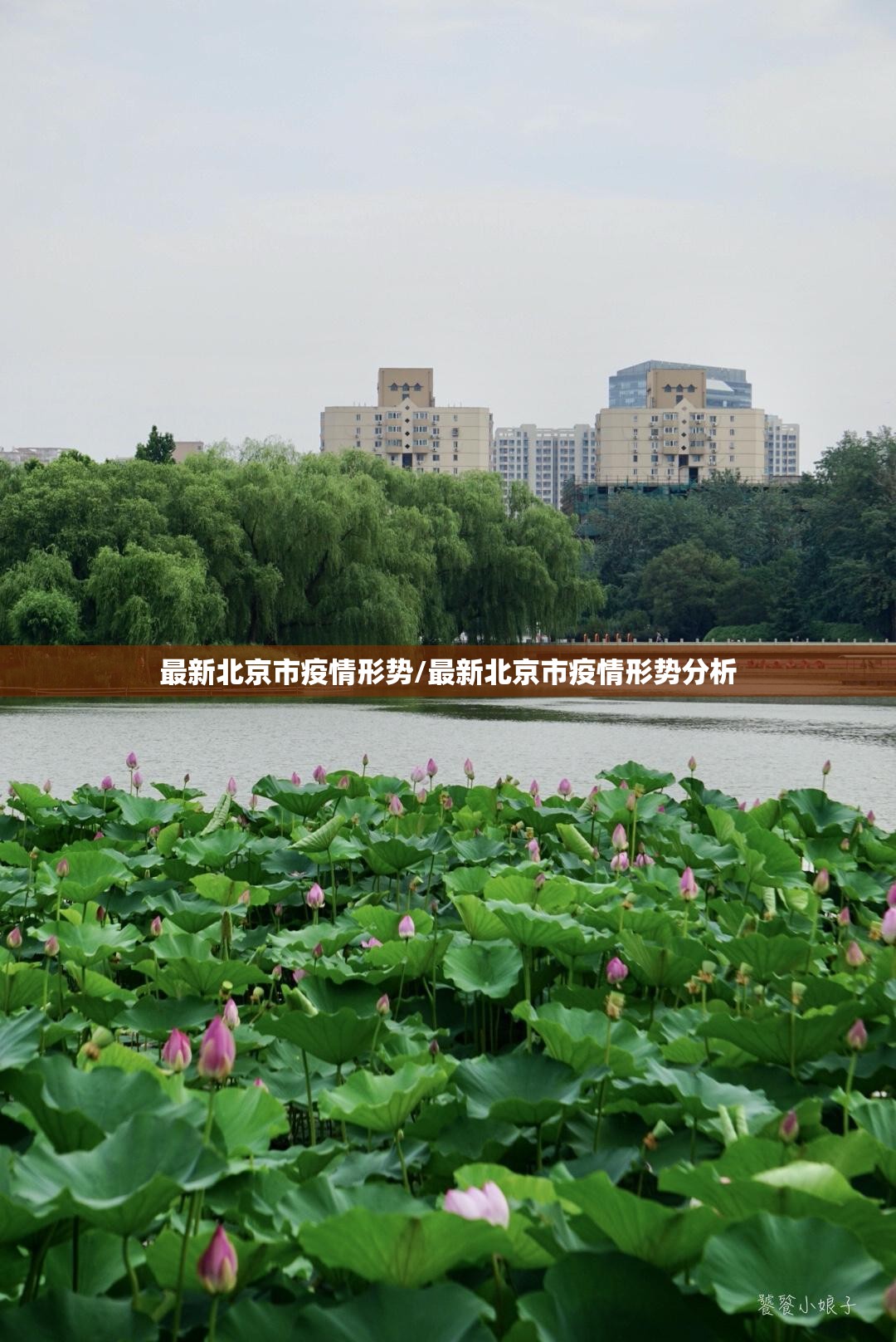 最新北京市疫情形势/最新北京市疫情形势分析