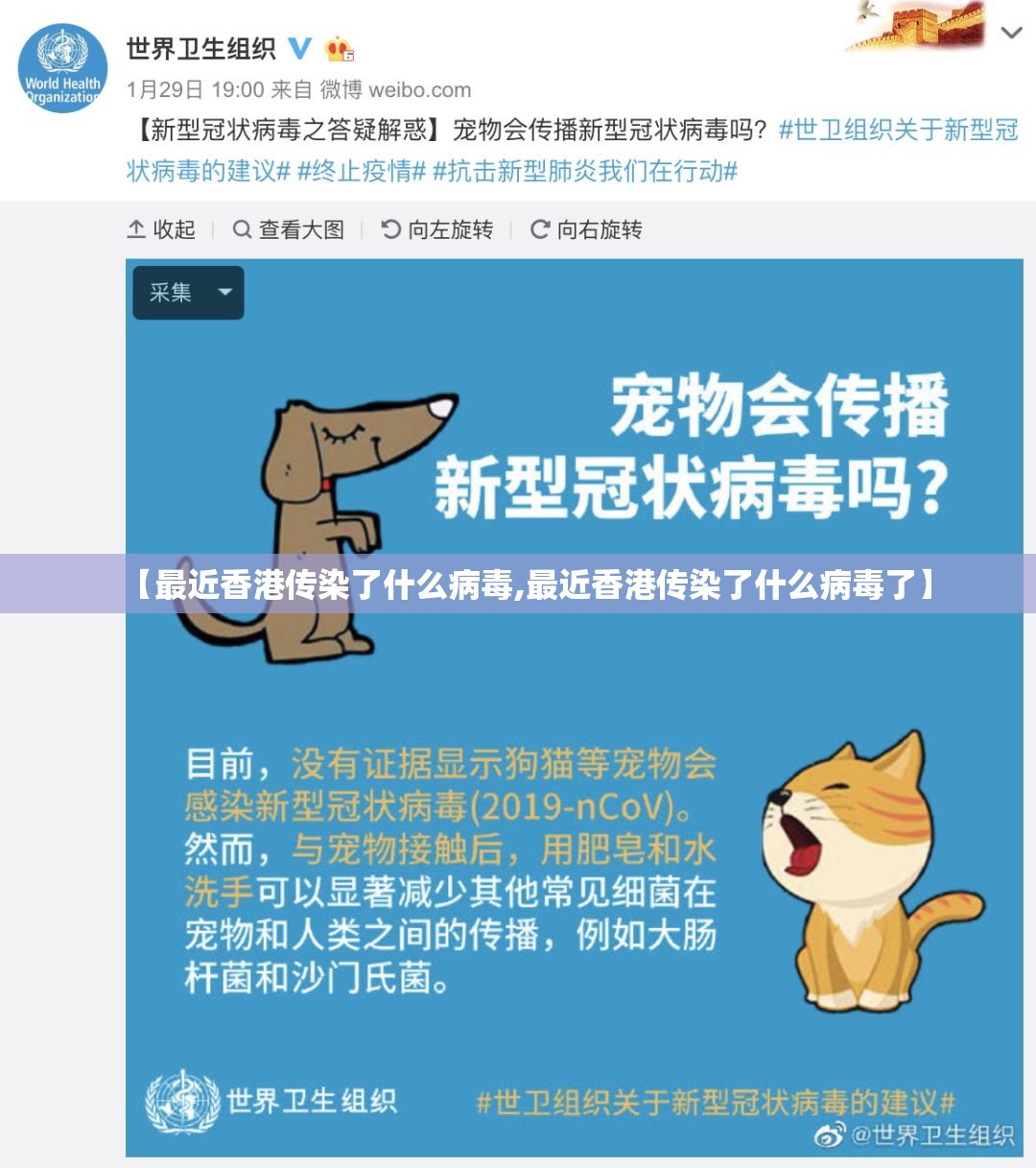 【最近香港传染了什么病毒,最近香港传染了什么病毒了】