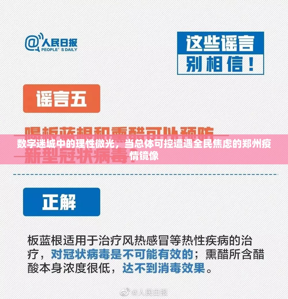 数字迷城中的理性微光，当总体可控遭遇全民焦虑的郑州疫情镜像