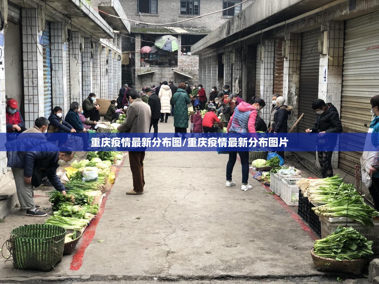 重庆疫情最新分布图/重庆疫情最新分布图片