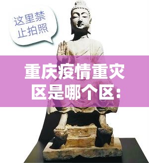 重庆疫情重灾区是哪个区:重庆疫情重灾区是哪个区域