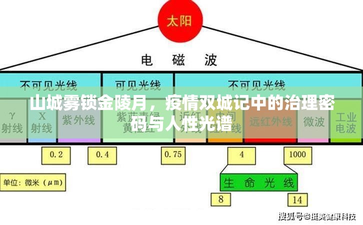 山城雾锁金陵月，疫情双城记中的治理密码与人性光谱