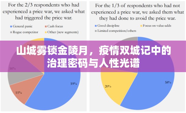 山城雾锁金陵月，疫情双城记中的治理密码与人性光谱