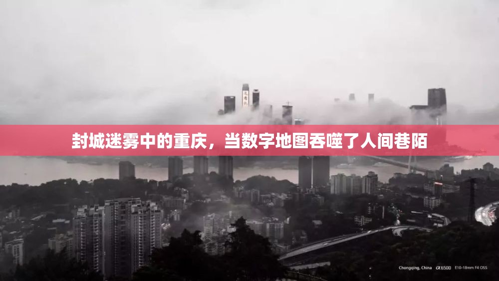 封城迷雾中的重庆，当数字地图吞噬了人间巷陌