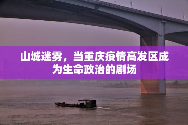 山城迷雾，当重庆疫情高发区成为生命政治的剧场