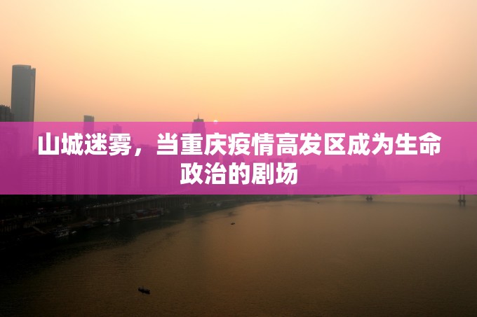 山城迷雾，当重庆疫情高发区成为生命政治的剧场