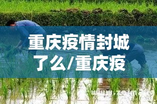 重庆疫情封城了么/重庆疫情封城了么今天