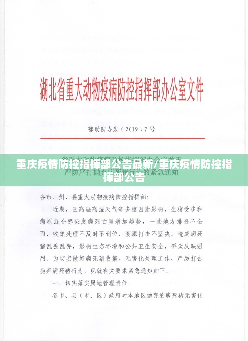 重庆疫情防控指挥部公告最新/重庆疫情防控指挥部公告