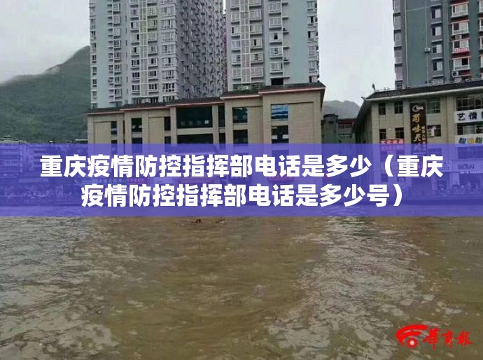 重庆疫情防控指挥部电话是多少（重庆疫情防控指挥部电话是多少号）