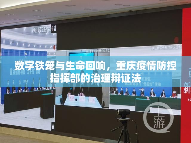 数字铁笼与生命回响，重庆疫情防控指挥部的治理辩证法