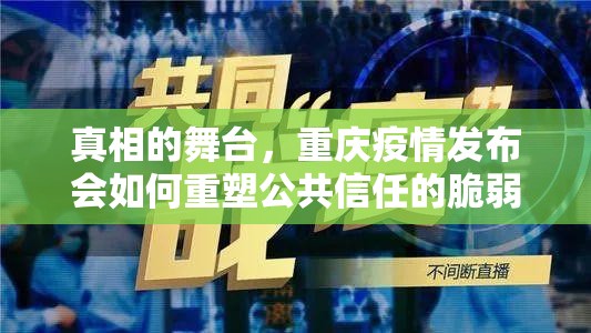 真相的舞台，重庆疫情发布会如何重塑公共信任的脆弱纽带