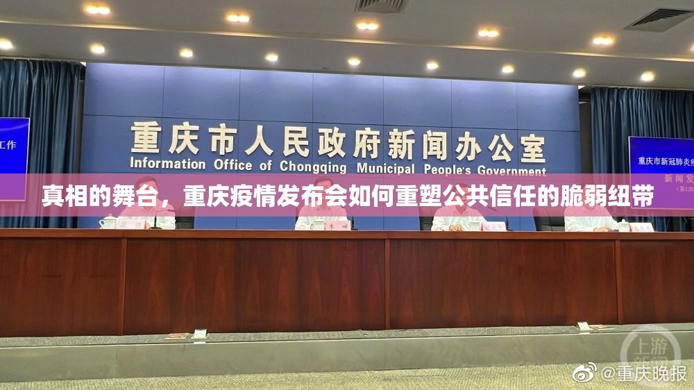 真相的舞台，重庆疫情发布会如何重塑公共信任的脆弱纽带