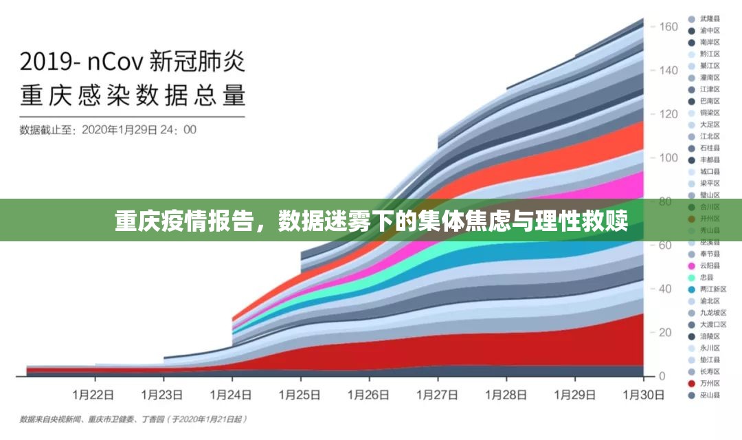 重庆疫情报告，数据迷雾下的集体焦虑与理性救赎