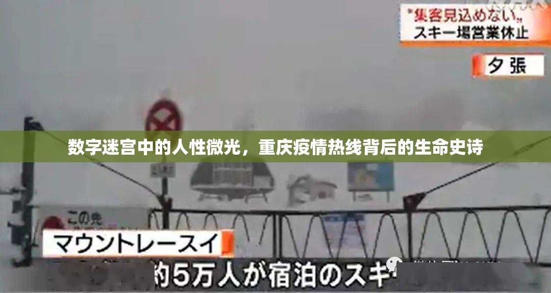 数字迷宫中的人性微光，重庆疫情热线背后的生命史诗