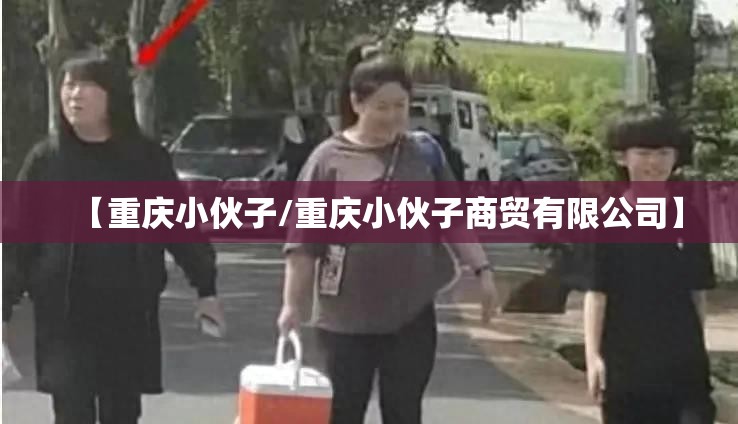 【重庆小伙子/重庆小伙子商贸有限公司】