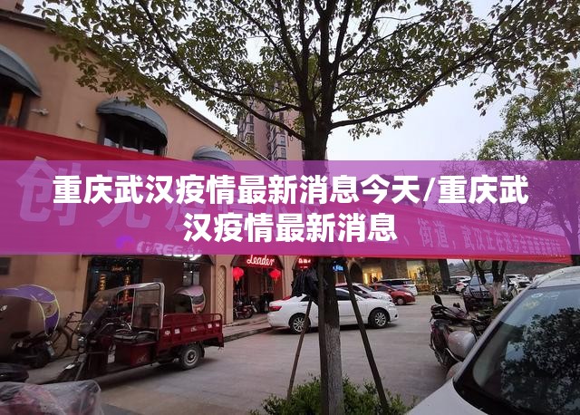 重庆武汉疫情最新消息今天/重庆武汉疫情最新消息