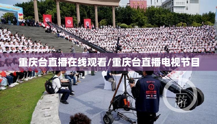 重庆台直播在线观看/重庆台直播电视节目