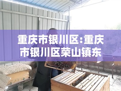 重庆市银川区:重庆市银川区荣山镇东岳村