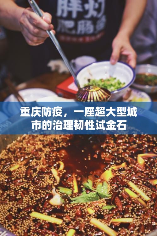 重庆防疫，一座超大型城市的治理韧性试金石