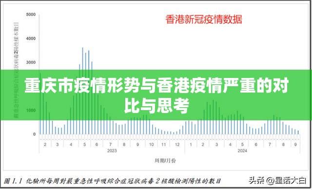 重庆市疫情形势与香港疫情严重的对比与思考