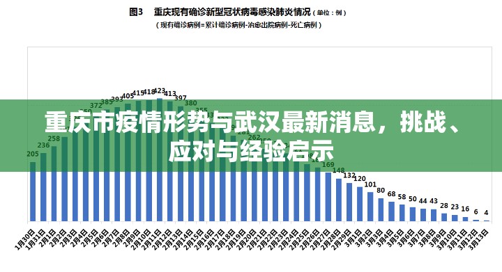 重庆市疫情形势与武汉最新消息，挑战、应对与经验启示