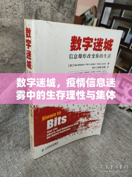 数字迷城，疫情信息迷雾中的生存理性与集体救赎