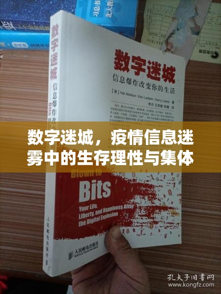 数字迷城，疫情信息迷雾中的生存理性与集体救赎