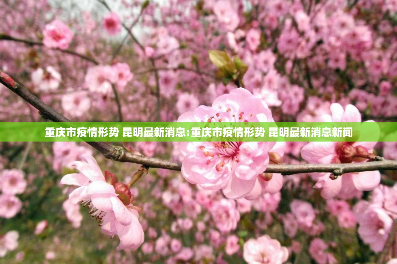 重庆市疫情形势 昆明最新消息:重庆市疫情形势 昆明最新消息新闻