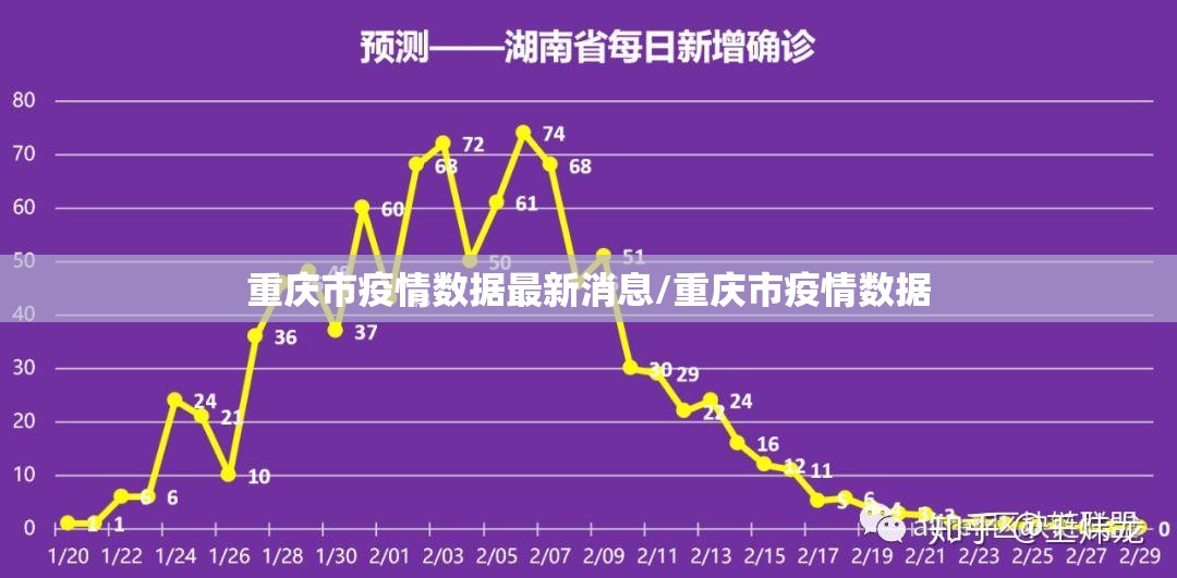 重庆市疫情数据最新消息/重庆市疫情数据