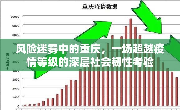 风险迷雾中的重庆，一场超越疫情等级的深层社会韧性考验