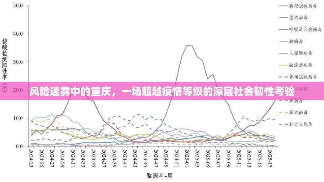 风险迷雾中的重庆，一场超越疫情等级的深层社会韧性考验