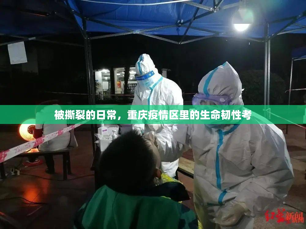 被撕裂的日常，重庆疫情区里的生命韧性考