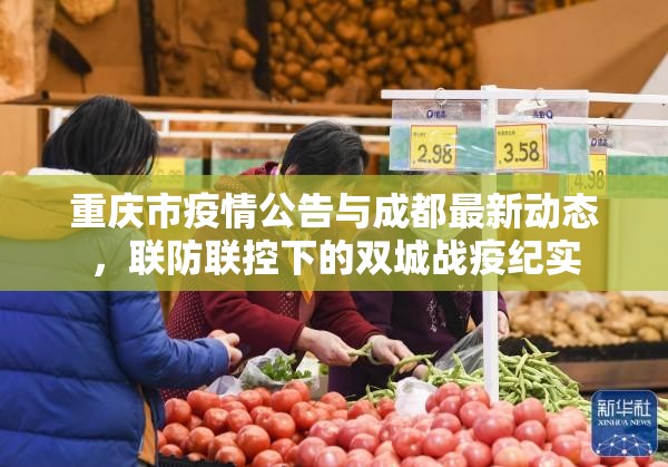 重庆市疫情公告与成都最新动态，联防联控下的双城战疫纪实