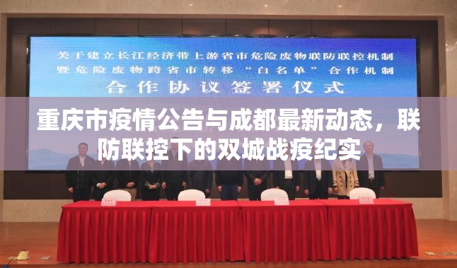 重庆市疫情公告与成都最新动态，联防联控下的双城战疫纪实
