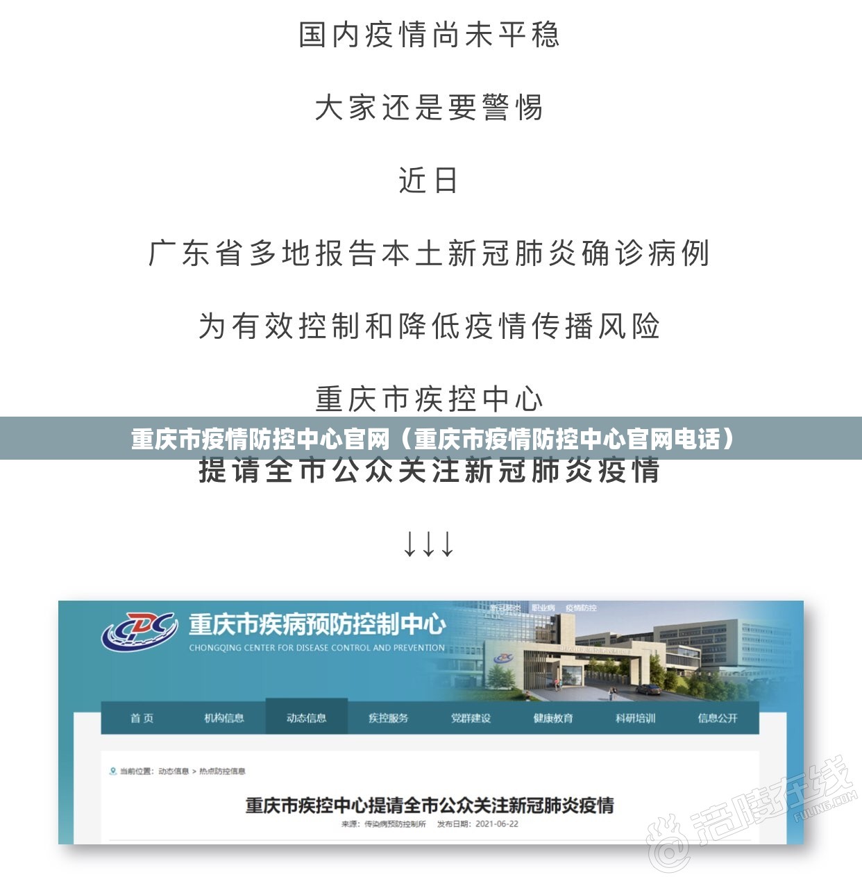 重庆市疫情防控中心官网（重庆市疫情防控中心官网电话）