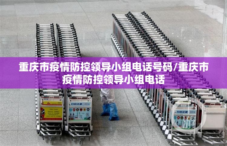重庆市疫情防控领导小组电话号码/重庆市疫情防控领导小组电话