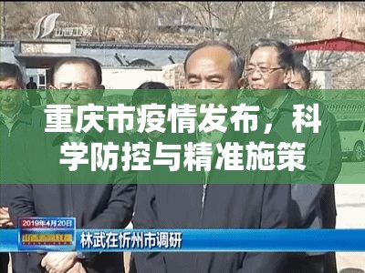 重庆市疫情发布，科学防控与精准施策的双重保障