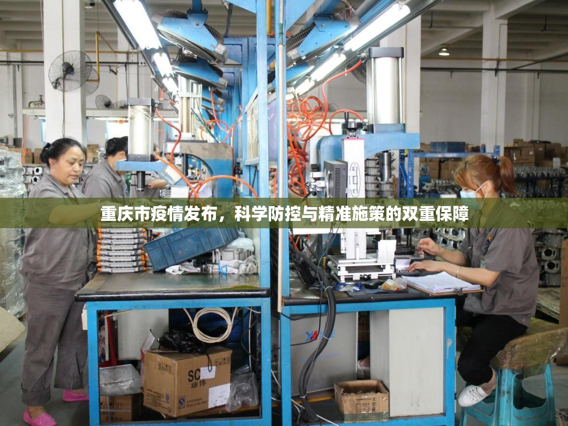重庆市疫情发布，科学防控与精准施策的双重保障