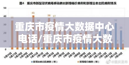 重庆市疫情大数据中心电话/重庆市疫情大数据