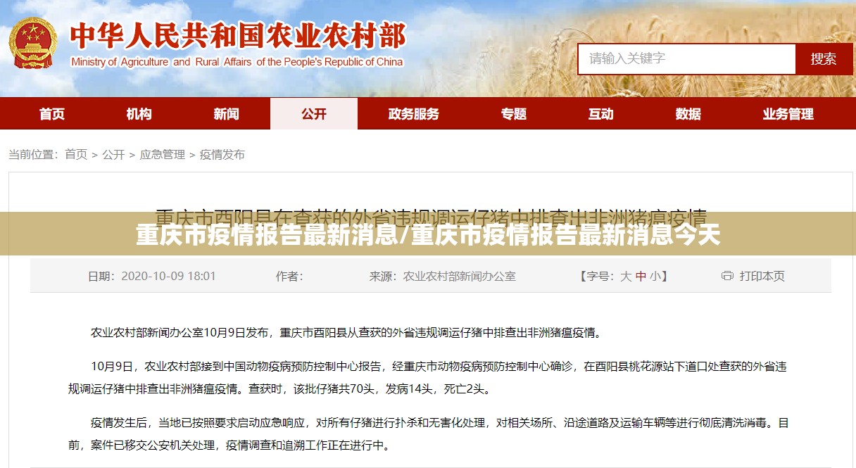 重庆市疫情报告最新消息/重庆市疫情报告最新消息今天