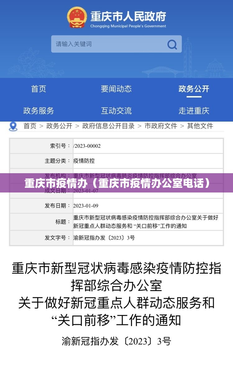 重庆市疫情办（重庆市疫情办公室电话）
